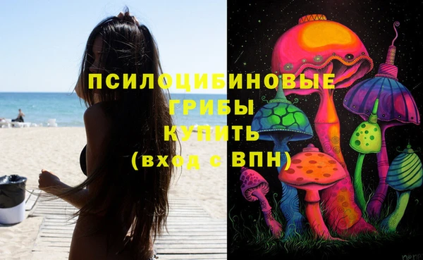 прущие крисы Карпинск